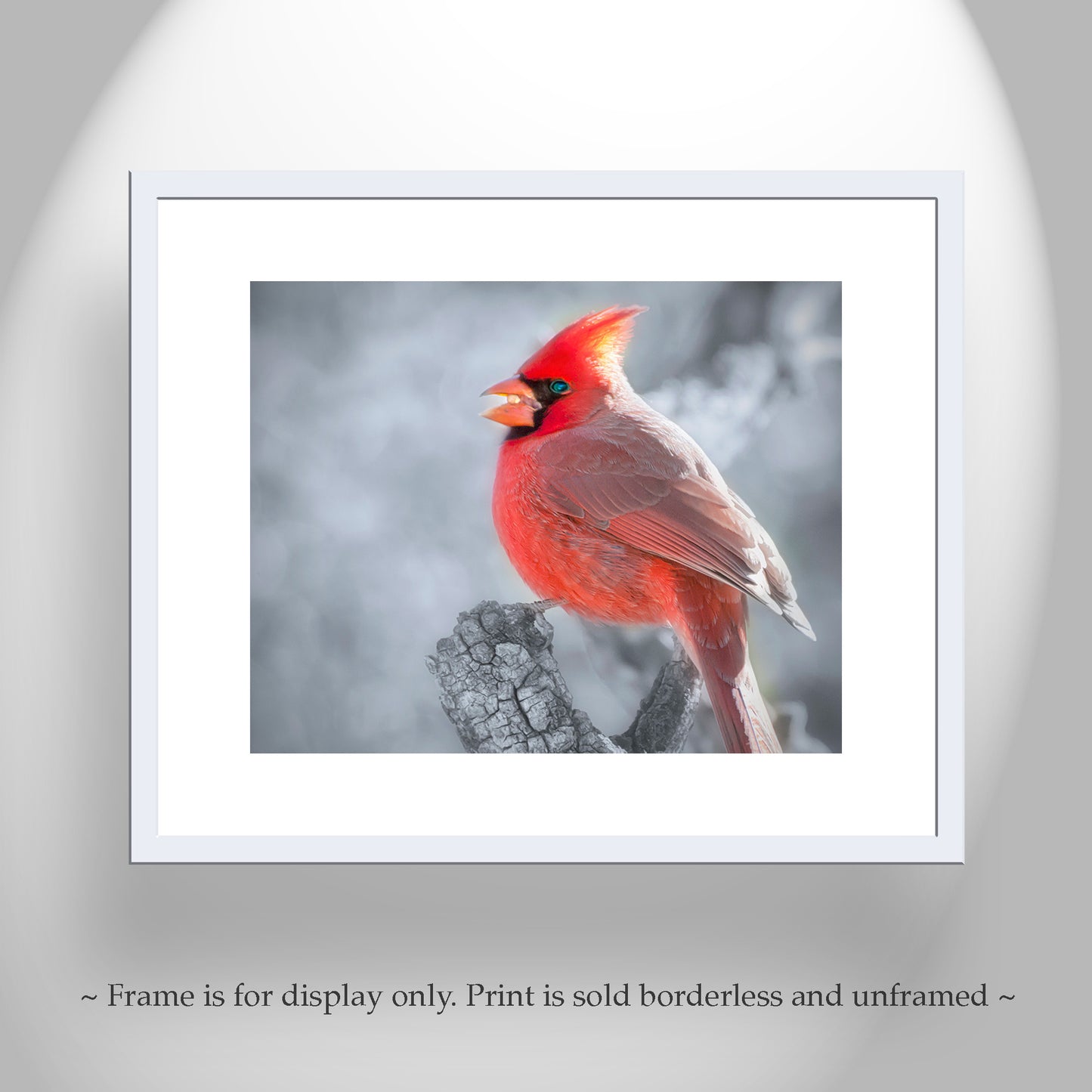 Red Cardinal in Winter Artwork as Home Decor for Bird Lovers
