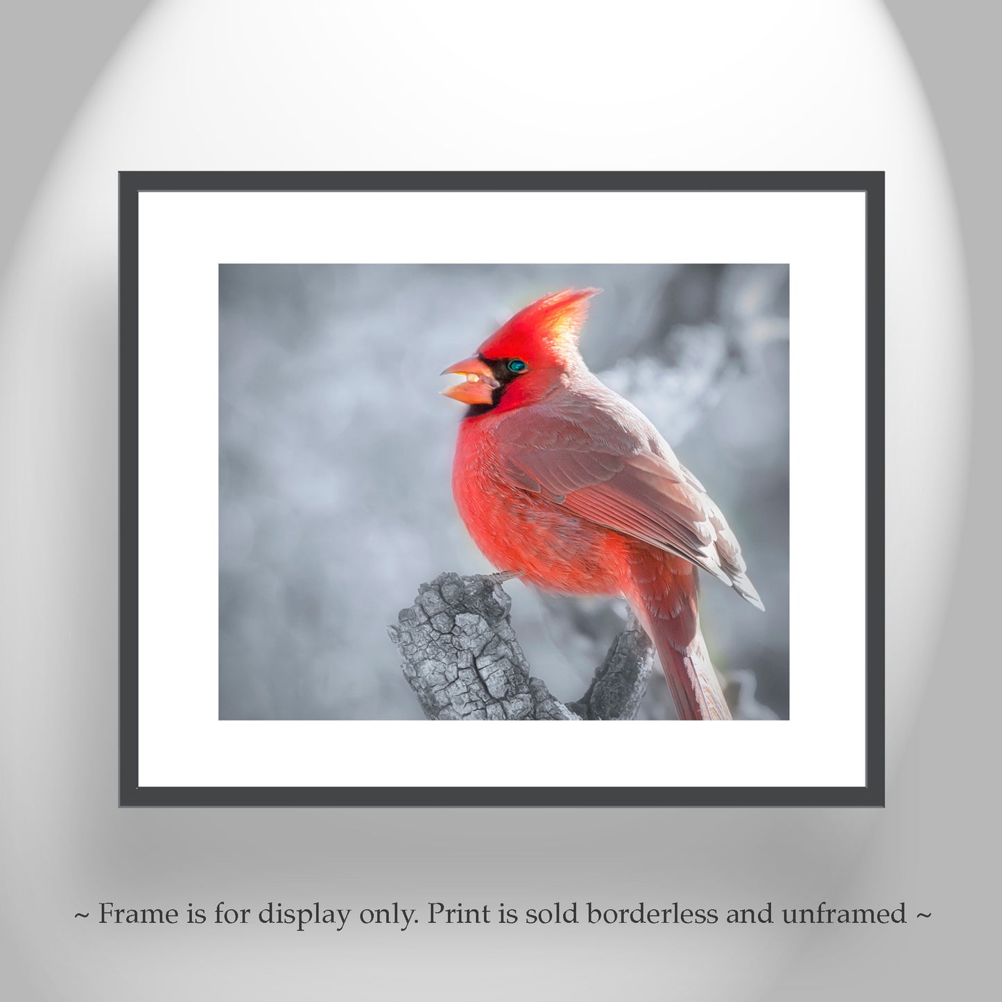 Red Cardinal in Winter Artwork as Home Decor for Bird Lovers