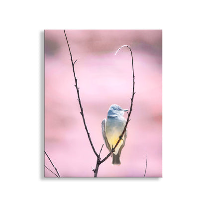Cassin's Kingbird Wall Art - Arizona Minimalist Bird Home Decor