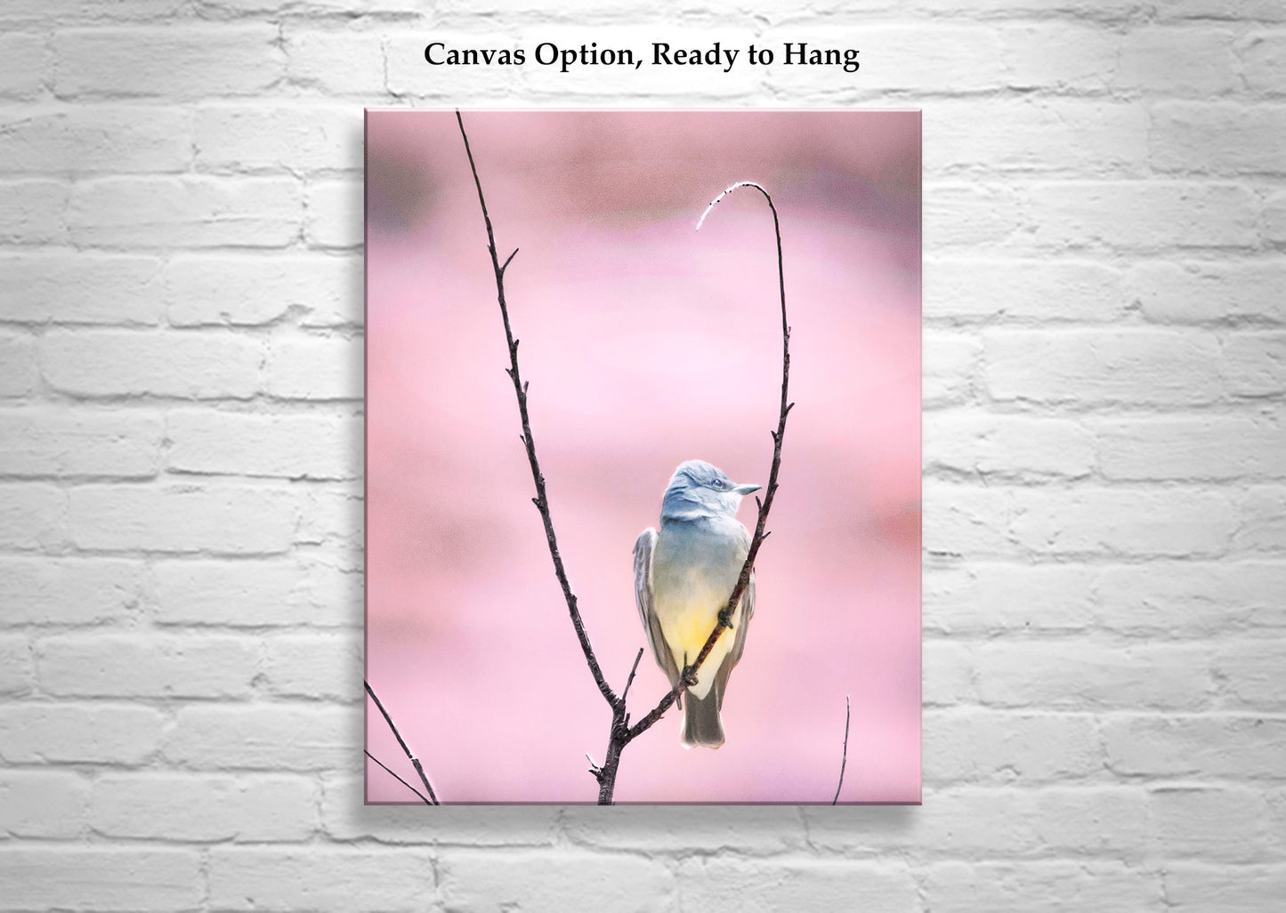 Cassin's Kingbird Wall Art - Arizona Minimalist Bird Home Decor