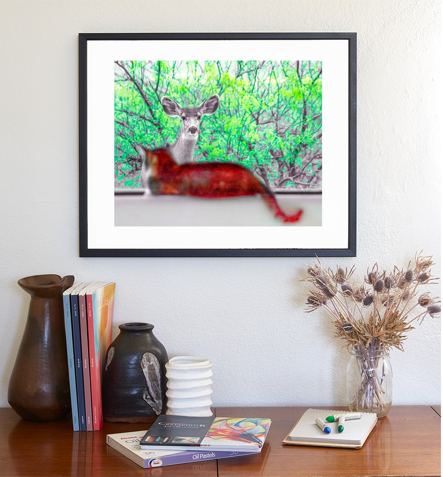 Wildlife Photography with Wild Deer and House Cat | Tucson Arizona