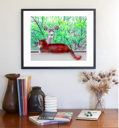 Wildlife Photography with Wild Deer and House Cat | Tucson Arizona