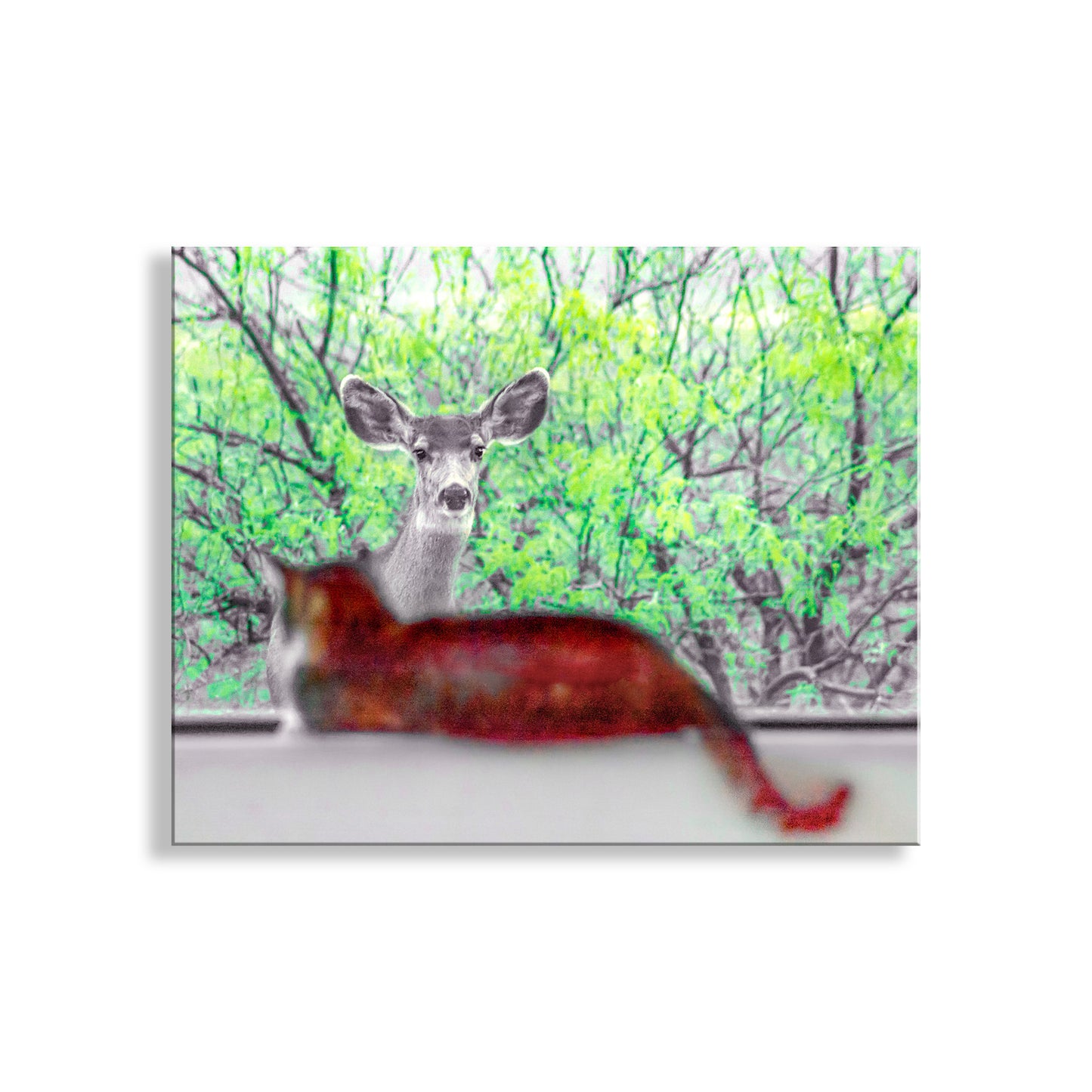 Deer in a forest with a blurred effect. Cute art for your walls! Here's two mammals with some mild curiosity for one another, my cat and a pretty doe deer in southern Arizona USA! Original, unique signed art by Murray Bolesta.