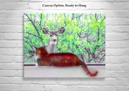 Wildlife Photography with Wild Deer and House Cat | Tucson Arizona