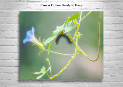 Caterpillar and Arizona Wildflower as Nature Wall Art