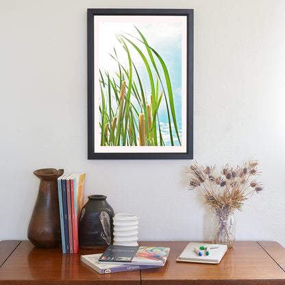Pastel Reeds Nature Photography in Arizona Canyon Wetlands Cienega
