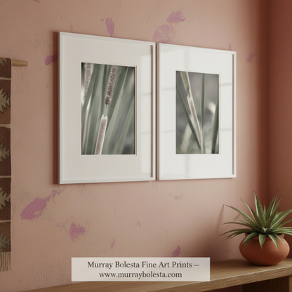 reeds cattails botanical art by Murray Bolesta