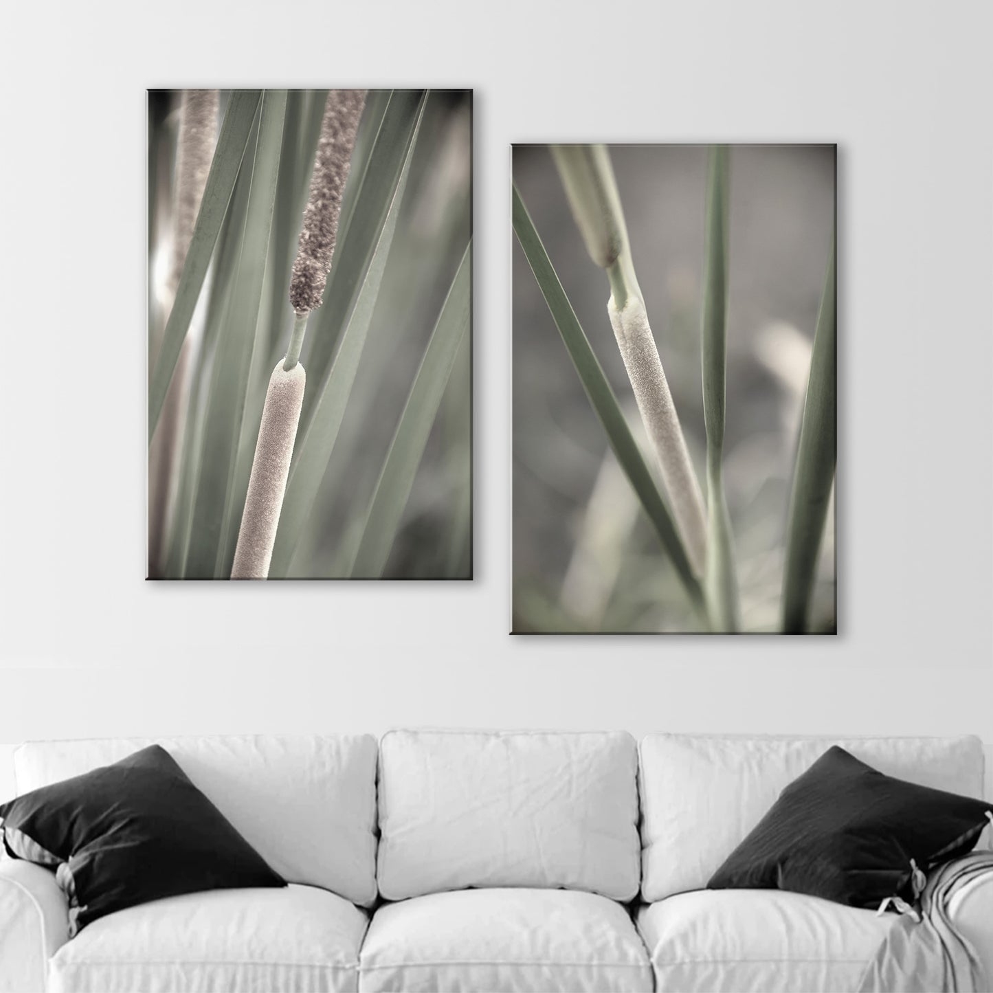 Reeds and Cattails Set of 2 Prints | Arizona Wetlands Nature Photography