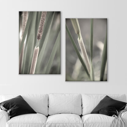 Reeds and Cattails Set of 2 Prints | Arizona Wetlands Nature Photography
