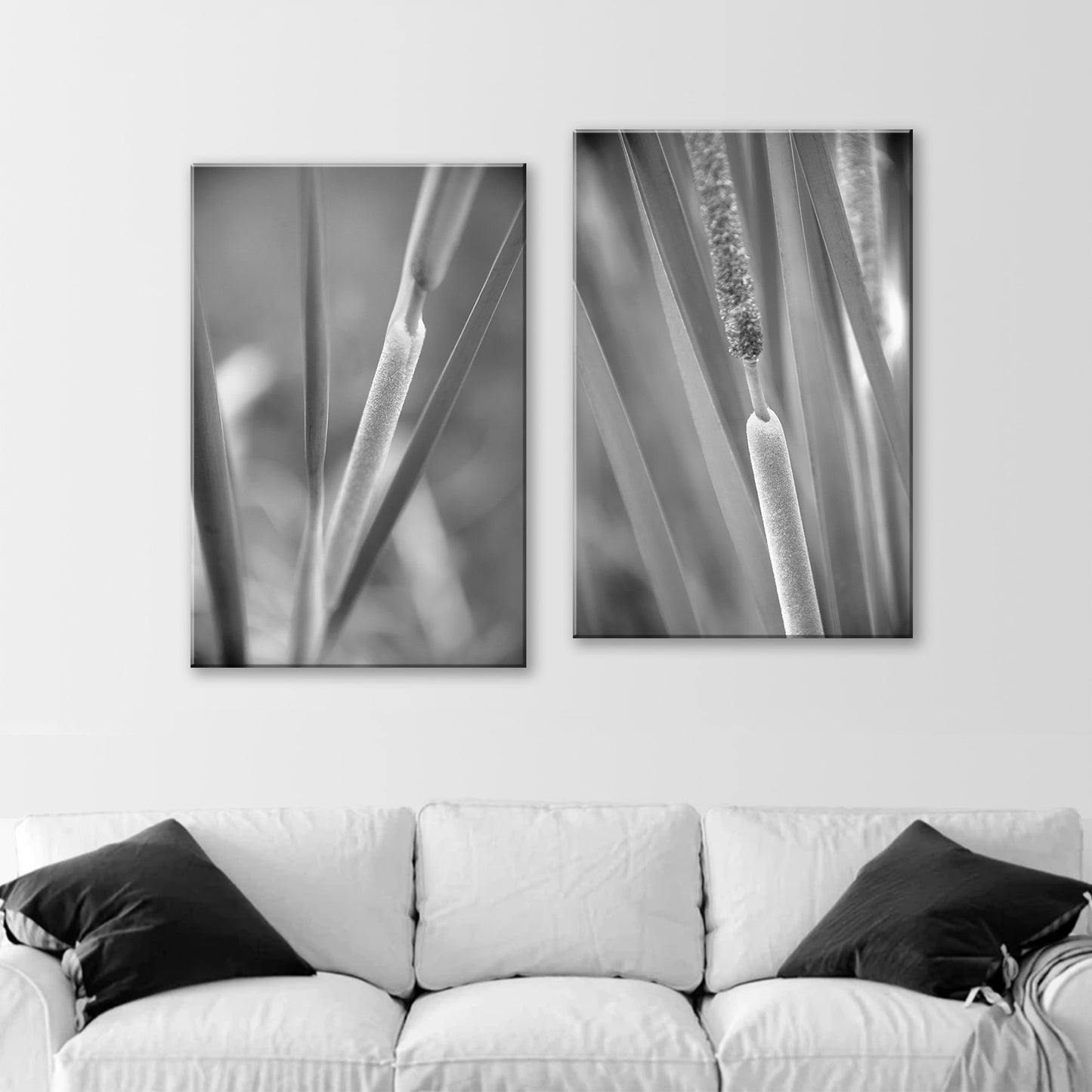 Reeds & Cattails Set of 2 B&W Prints | Arizona Wetlands Nature Photos