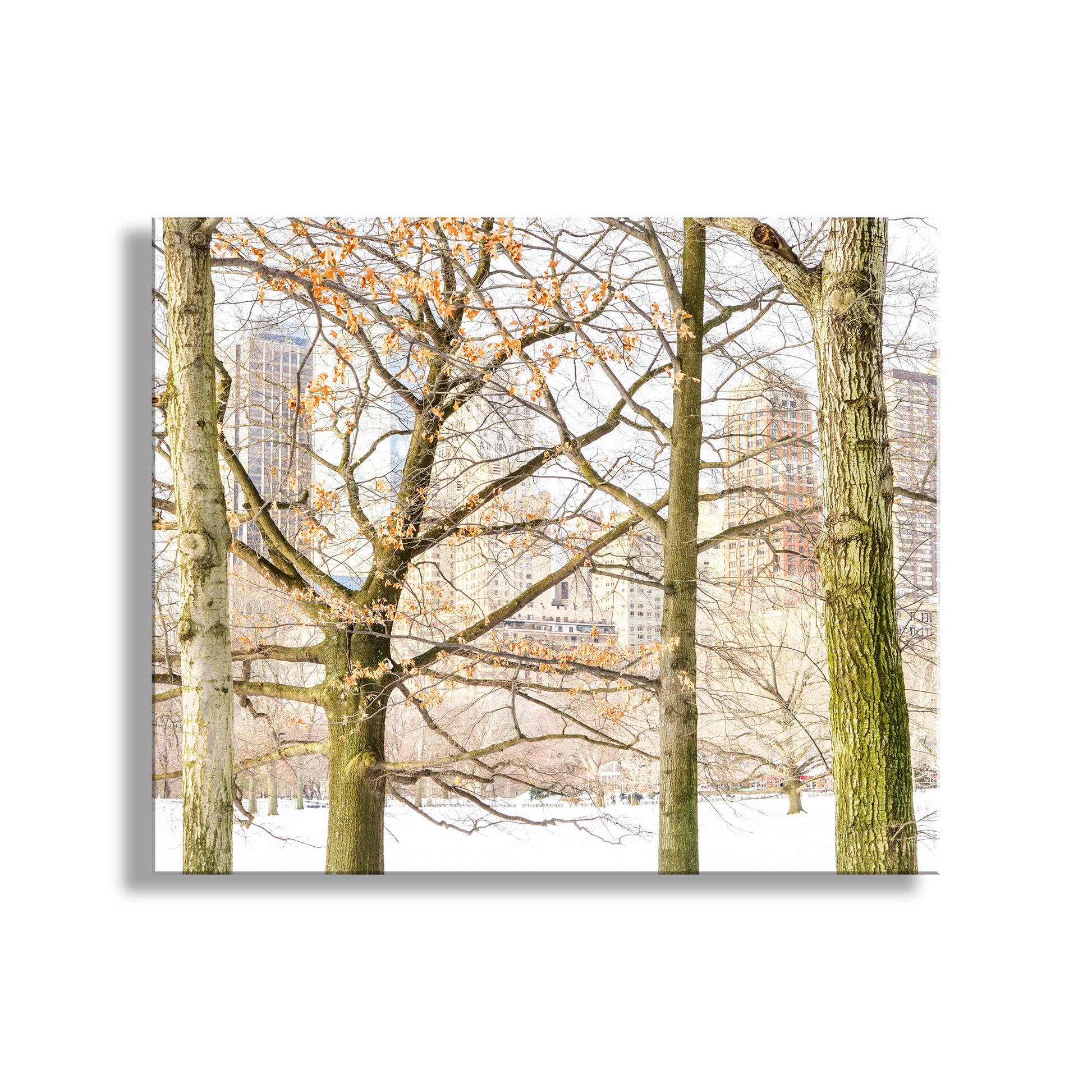 Trees with bare branches in a snowy landscape with buildings in the background. Central Park Winter Photograph as NYC Wall Decor for Home or Office
