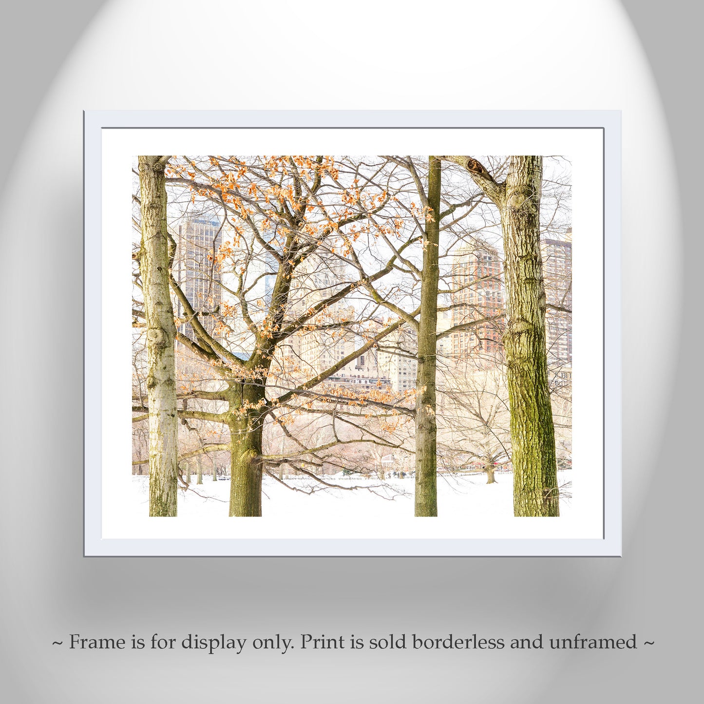 Central Park Winter Photograph as NYC Wall Decor for Home or Office