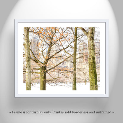 Central Park Winter Photograph as NYC Wall Decor for Home or Office