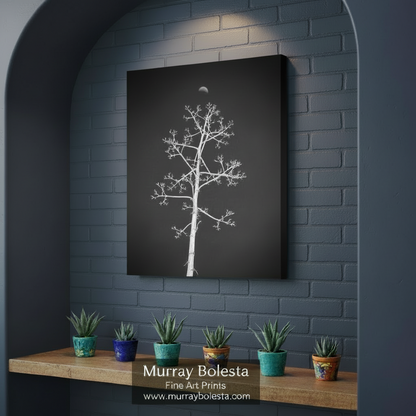 Black and white image of a tree against a dark background with a moon visible. Agave Art Print in Surreal Black and White with Arizona Desert Moon by Murray Bolesta