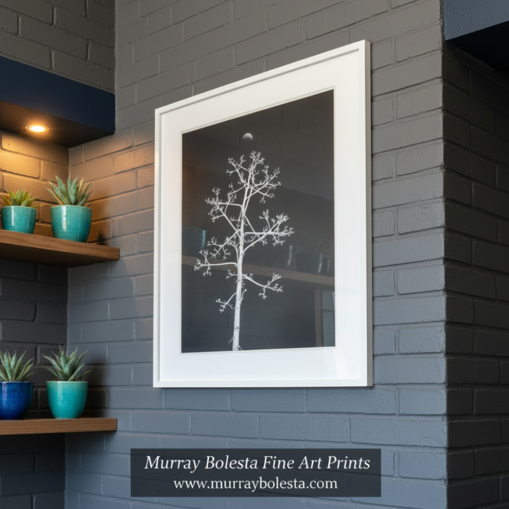 Black and white image of a tree against a dark background with a moon visible. Agave Art Print in Surreal Black and White with Arizona Desert Moon by Murray Bolesta