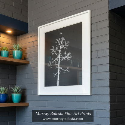 Black and white image of a tree against a dark background with a moon visible. Agave Art Print in Surreal Black and White with Arizona Desert Moon by Murray Bolesta