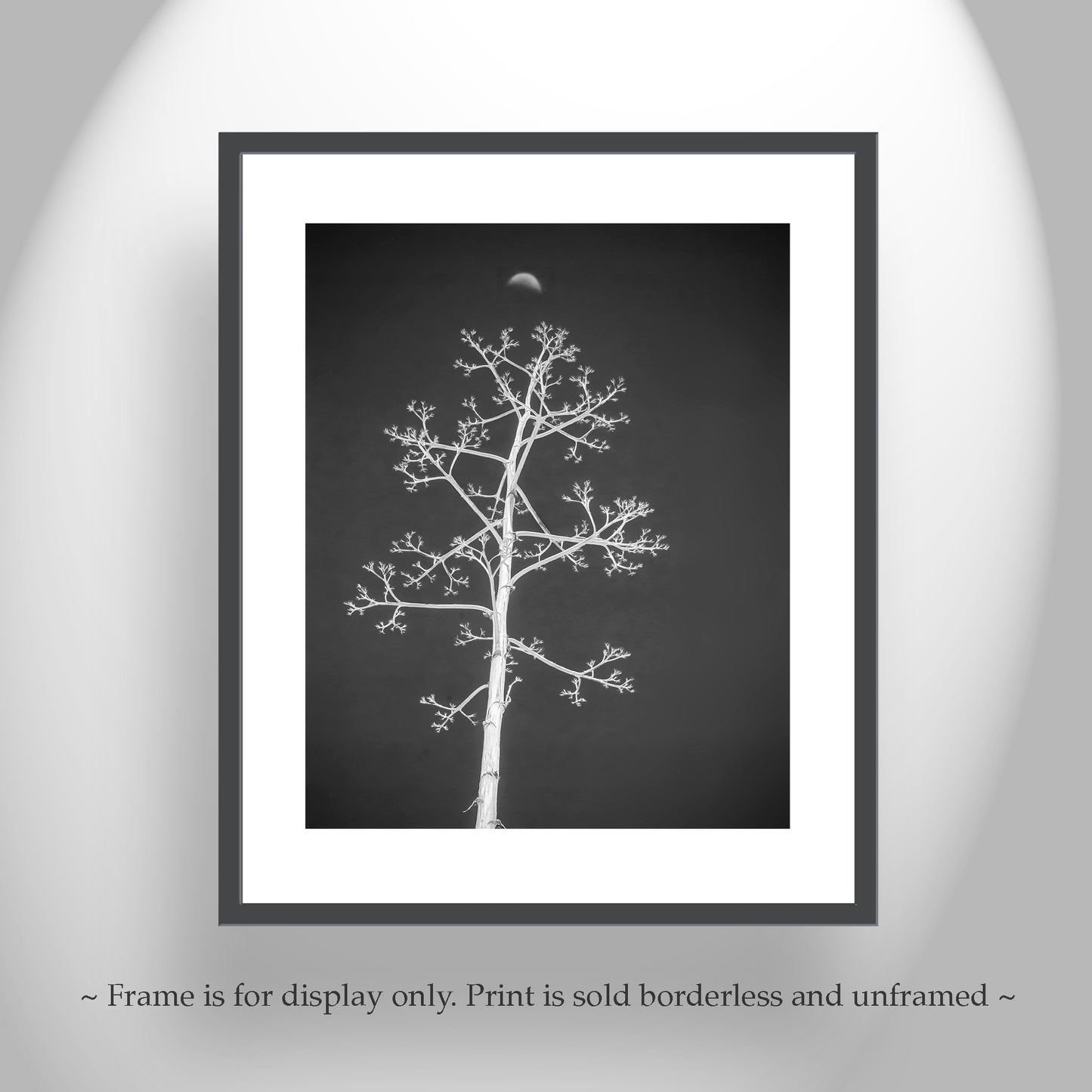 Agave Art Print in Surreal Black and White with Arizona Desert Moon