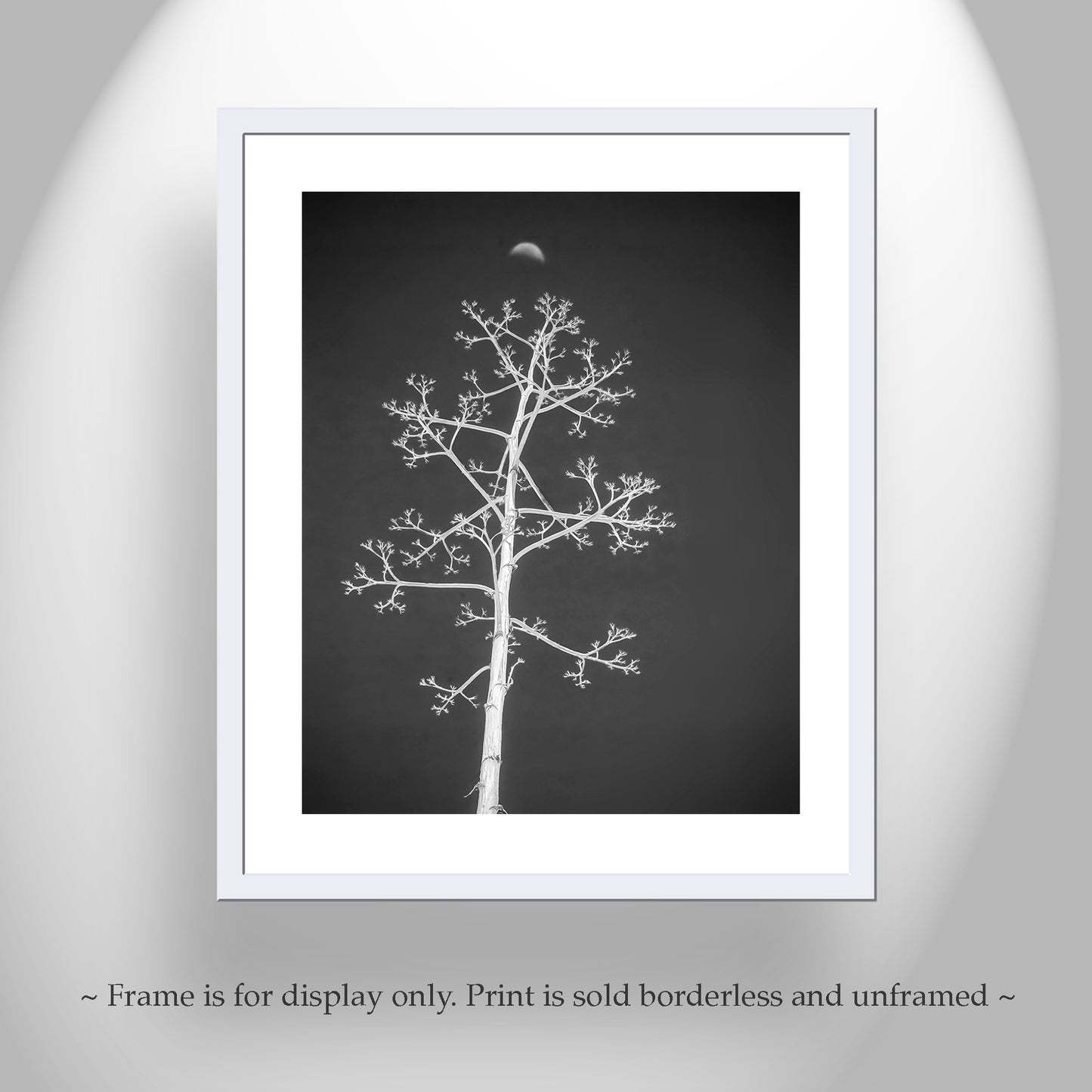 Agave Art Print in Surreal Black and White with Arizona Desert Moon