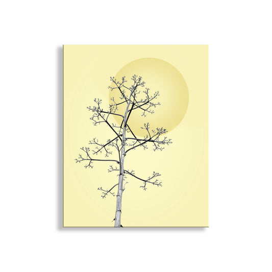 Simplified black tree design on a yellow background. Agave Wall Art as Southwest Botanical Print at Tucson Arizona