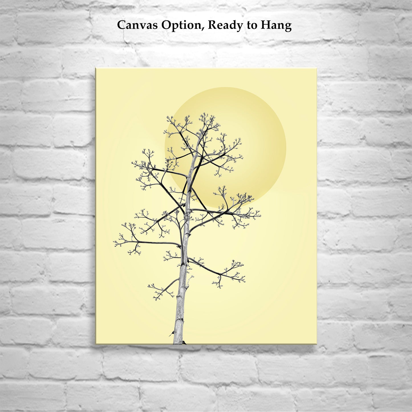 Agave Wall Art - Southwest Botanical Print | Tucson Arizona