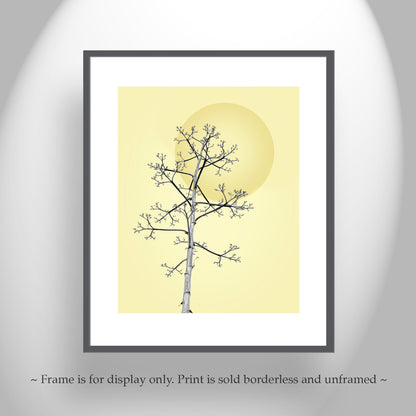 Agave Wall Art - Southwest Botanical Print | Tucson Arizona