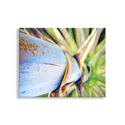 Close-up of a blue and gold object with green plant-like structures in the background. Blue Agave Century Plant Photo – Southwestern Wall Art Print | Desert Succulent Décor