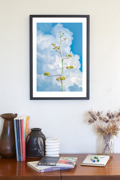 Desert Agave Pastel Art with Arizona Century Plant and Clouds