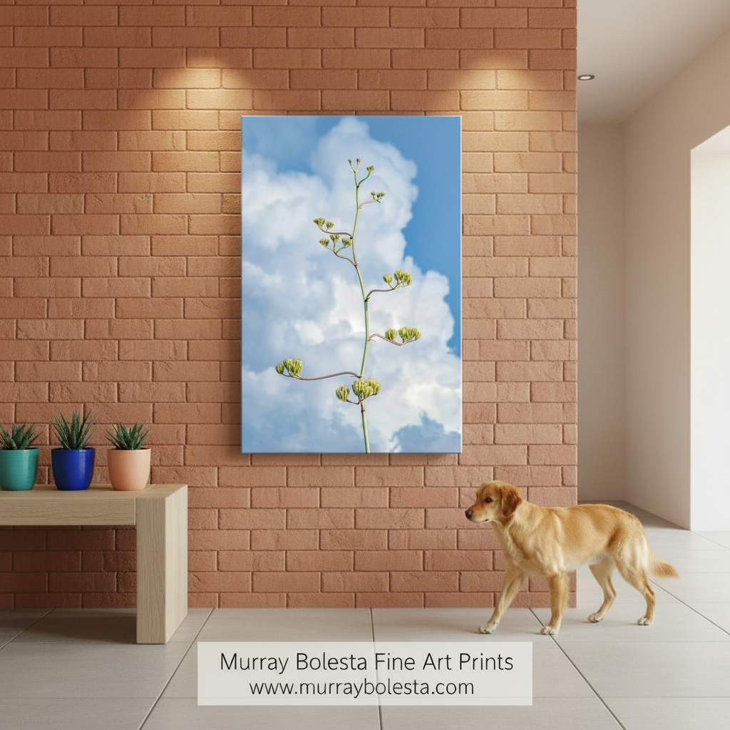 Floral branch against a blue sky with white clouds. Desert Agave Pastel Wall Art with Arizona Century Plant and Clouds by Murray Bolesta