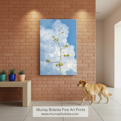 Floral branch against a blue sky with white clouds. Desert Agave Pastel Wall Art with Arizona Century Plant and Clouds by Murray Bolesta