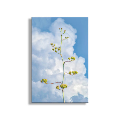 Floral branch against a blue sky with white clouds. Desert Agave Pastel Wall Art with Arizona Century Plant and Clouds