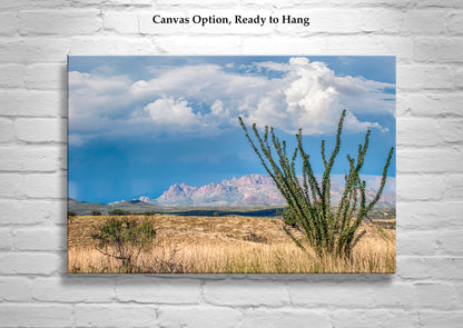 Arizona Mountain Landscape Art with Desert Ocotillo and Thunderstorm