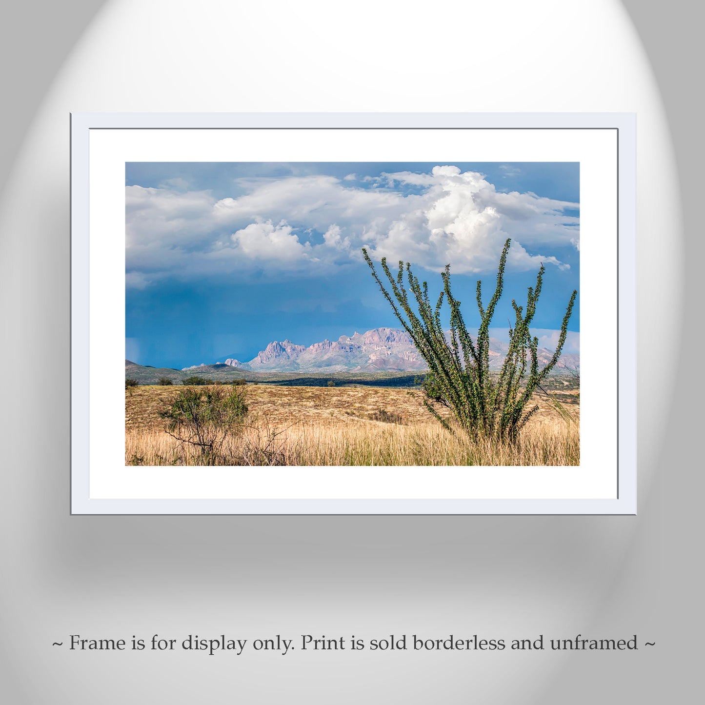 Arizona Mountain Landscape Art with Desert Ocotillo and Thunderstorm