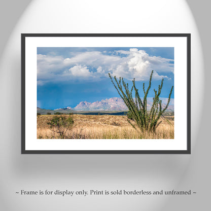 Arizona Mountain Landscape Art with Desert Ocotillo and Thunderstorm