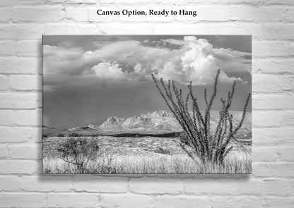 Black and White Mexico Border Desert Landscape Art for Sale with Ocotillo