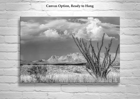 Black and White Mexico Border Desert Landscape Art for Sale with Ocotillo