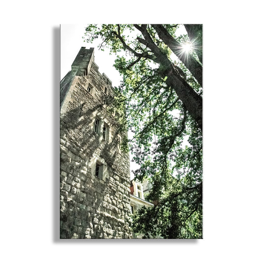 Old Castle in South of France | French Chateau Art Print