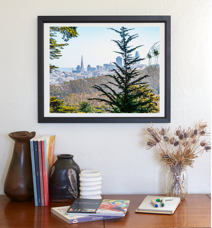 The Presidio Park San Francisco Scenic View Art Print
