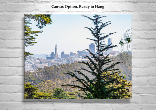 The Presidio Park San Francisco Scenic View Art Print
