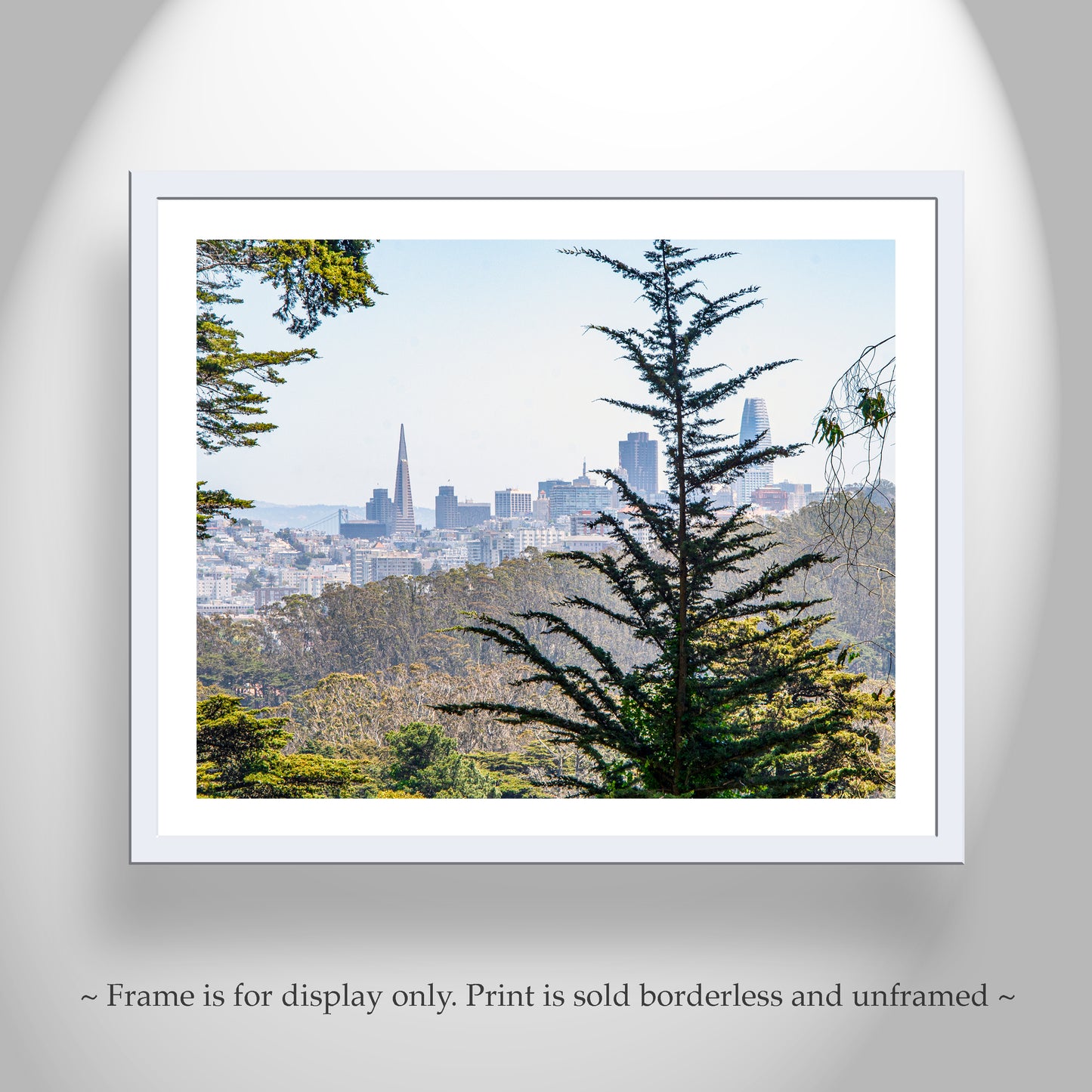 The Presidio Park San Francisco Scenic View Art Print