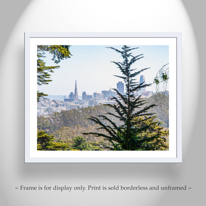 The Presidio Park San Francisco Scenic View Art Print