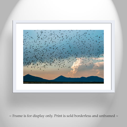 Flock of Birds Art in Klamath Wildlife Refuge – Moody Wetlands Artwork