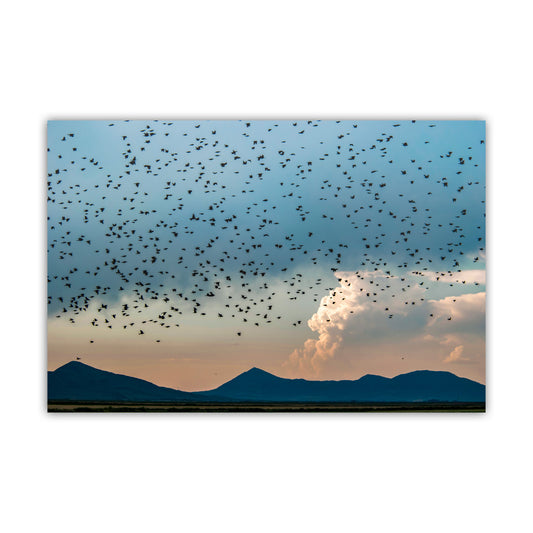 Flock of Birds Art in Klamath Wildlife Refuge – Moody Wetlands Artwork