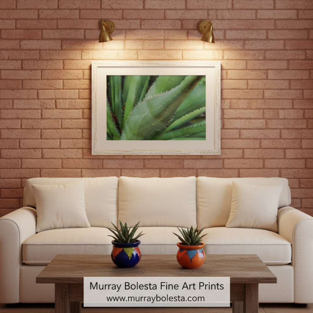 Close-up of green plant leaves with a white border. Green Agave Nature Photography as Southern Arizona Wall Decor by Murray Bolesta