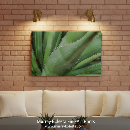 A rectangular wall art print showing a close-up green succulent or agave leaf pattern, displayed above a cream sofa against a tan brick wall with two lit sconces. Text at the bottom reads 'Murray Bolesta Fine Art Prints' with the website.