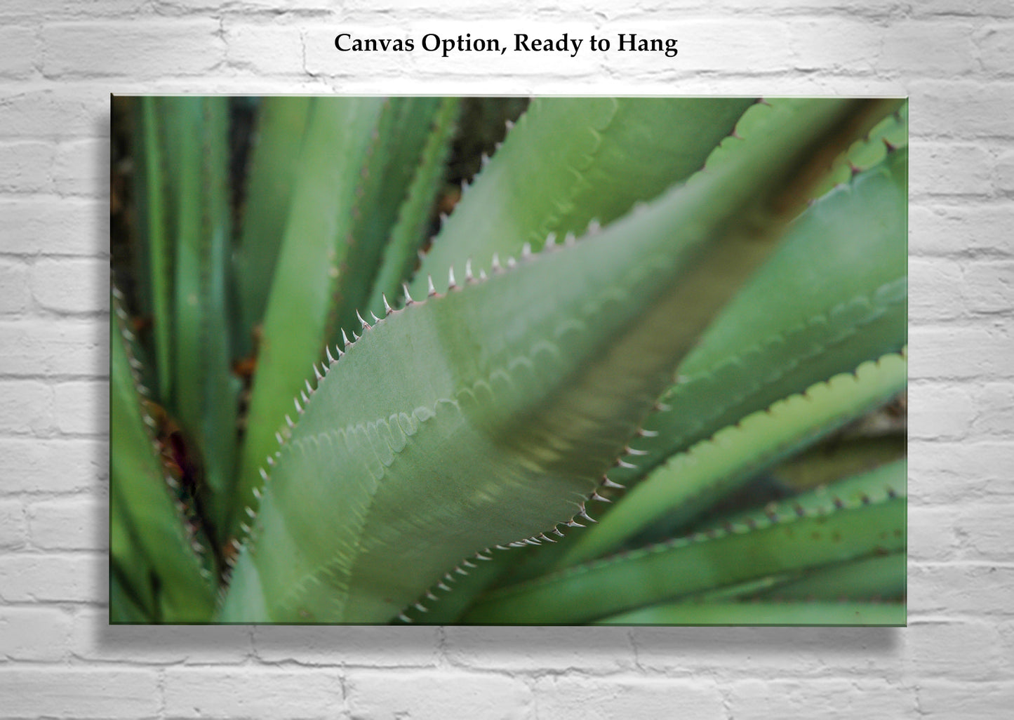Green Agave Artworks as Botanical Wall Decor Diptych Set of 2 Prints