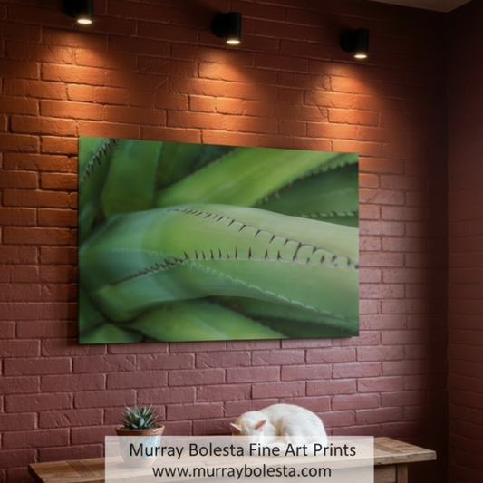 Close-up of a green leaf with detailed texture on a white background. Green Agave Nature Decor as Arizona Desert Botanical Wall Art by Murray Bolesta