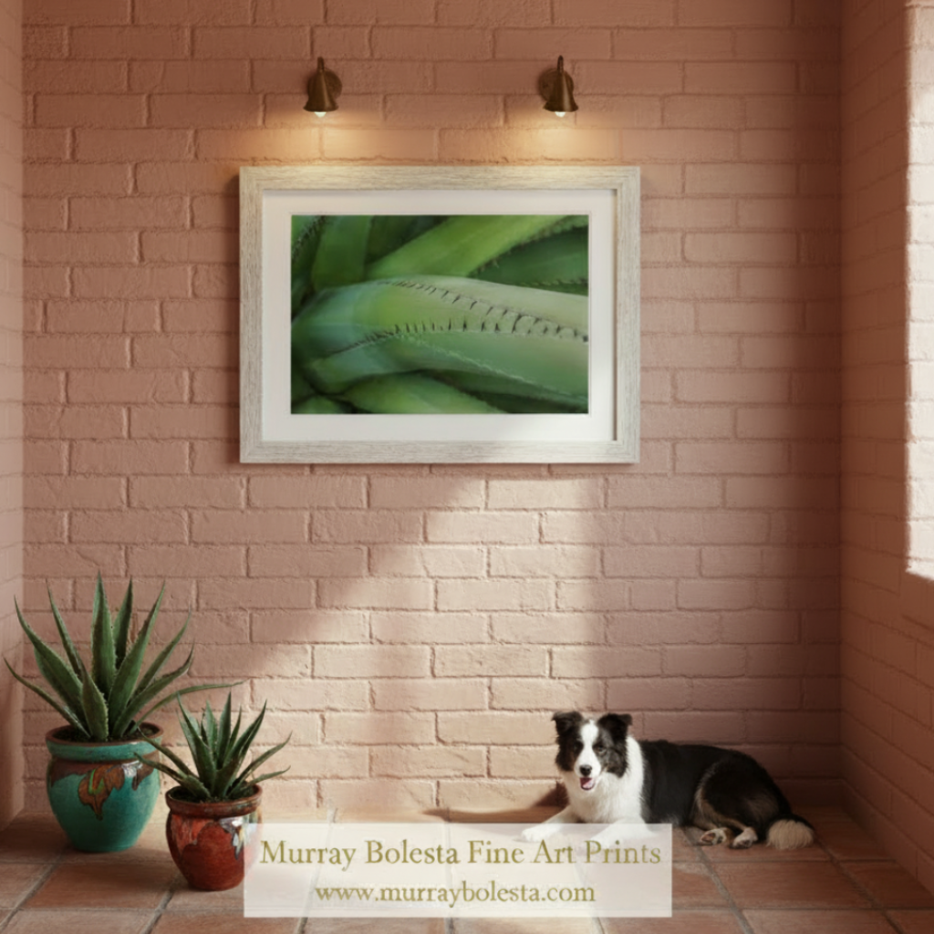 Close-up of a green leaf with detailed texture on a white background. Green Agave Nature Decor as Arizona Desert Botanical Wall Art by Murray Bolesta