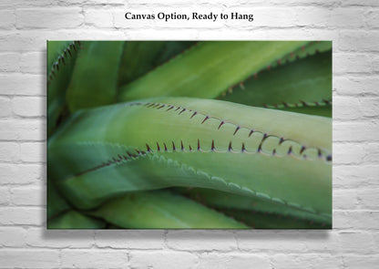 Green Agave Artworks as Botanical Wall Decor Diptych Set of 2 Prints
