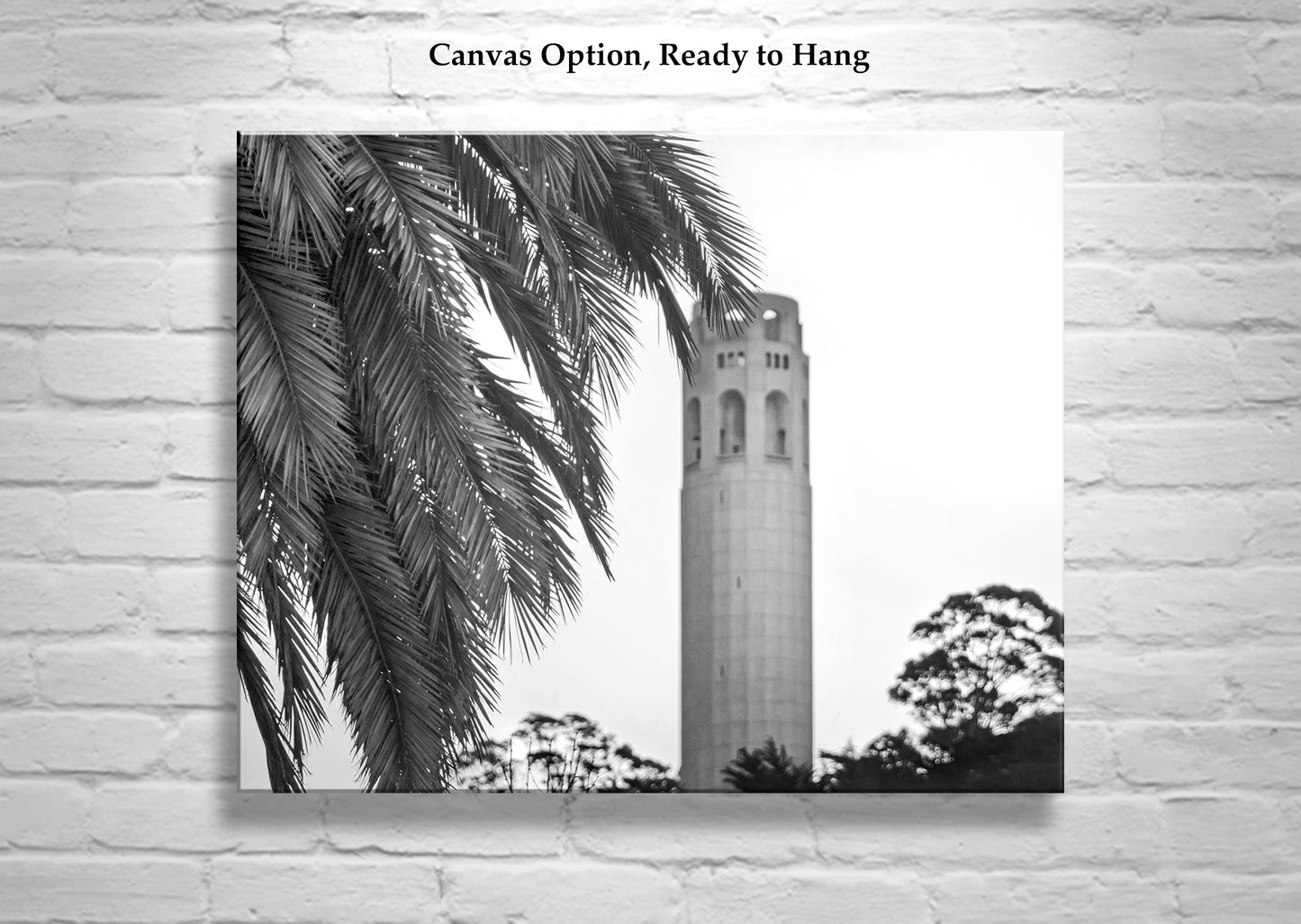 Coit Tower San Francisco California Black and White Art Print