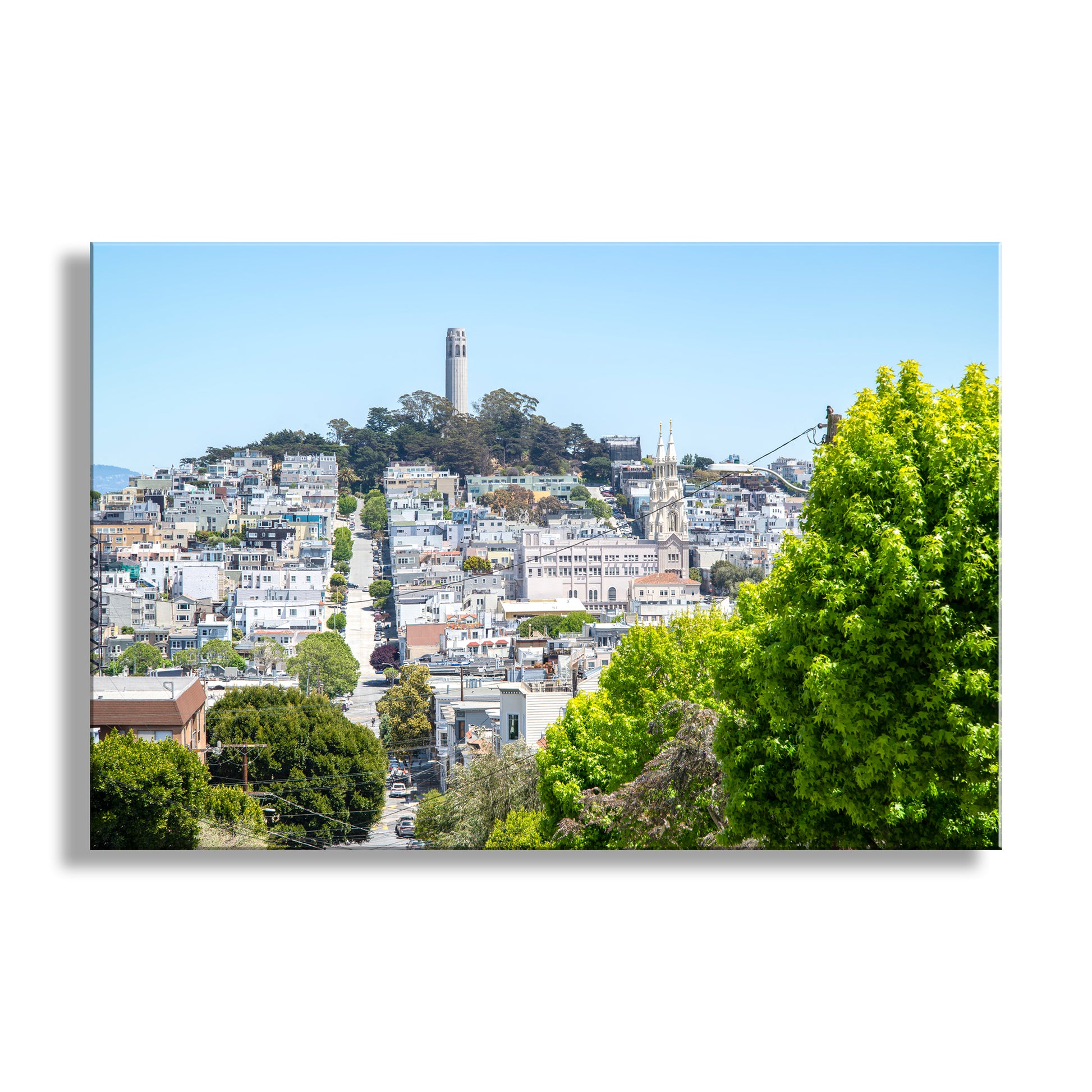 Cityscape with Coit Tower and green trees on a clear day. San Francisco Lombard Street Wall Art with Coit Tower